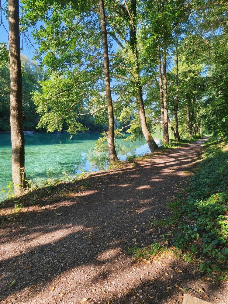 Waldweg an einem türkisblauen Fluss